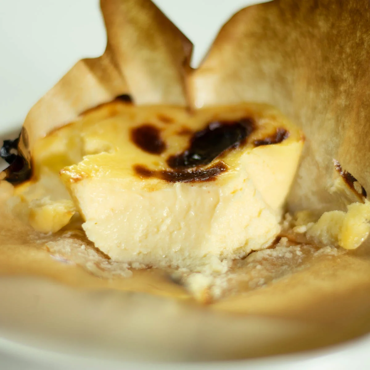 Mini Basque Burnt Cheesecake Recipe