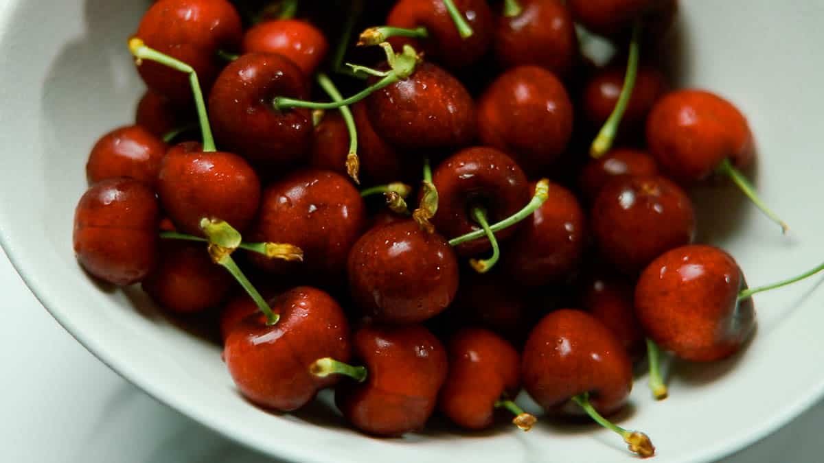 Simply taste the cherries How to make Cherry Tart