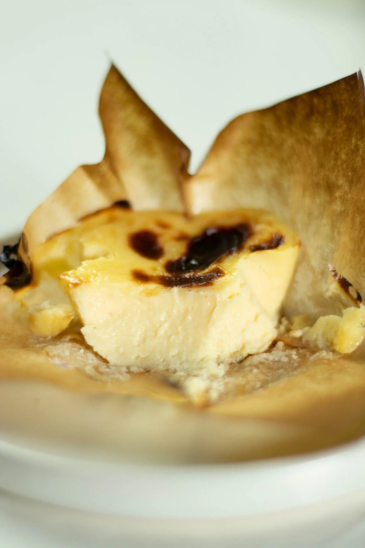 Mini Basque Burnt Cheesecake Recipe