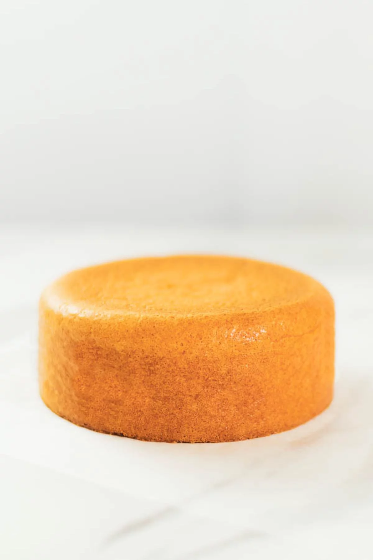 Fluffy and Moist! Never Fail Sponge Cake