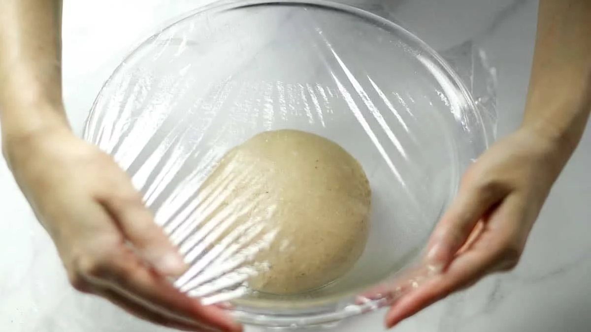 Remove the dough onto a floured table and knead lightly to bring the dough together Place in a lightly oiled bowl, cover with plastic wrap, and ferment in a warm place for at least 1 hour, until the dough doubles in size